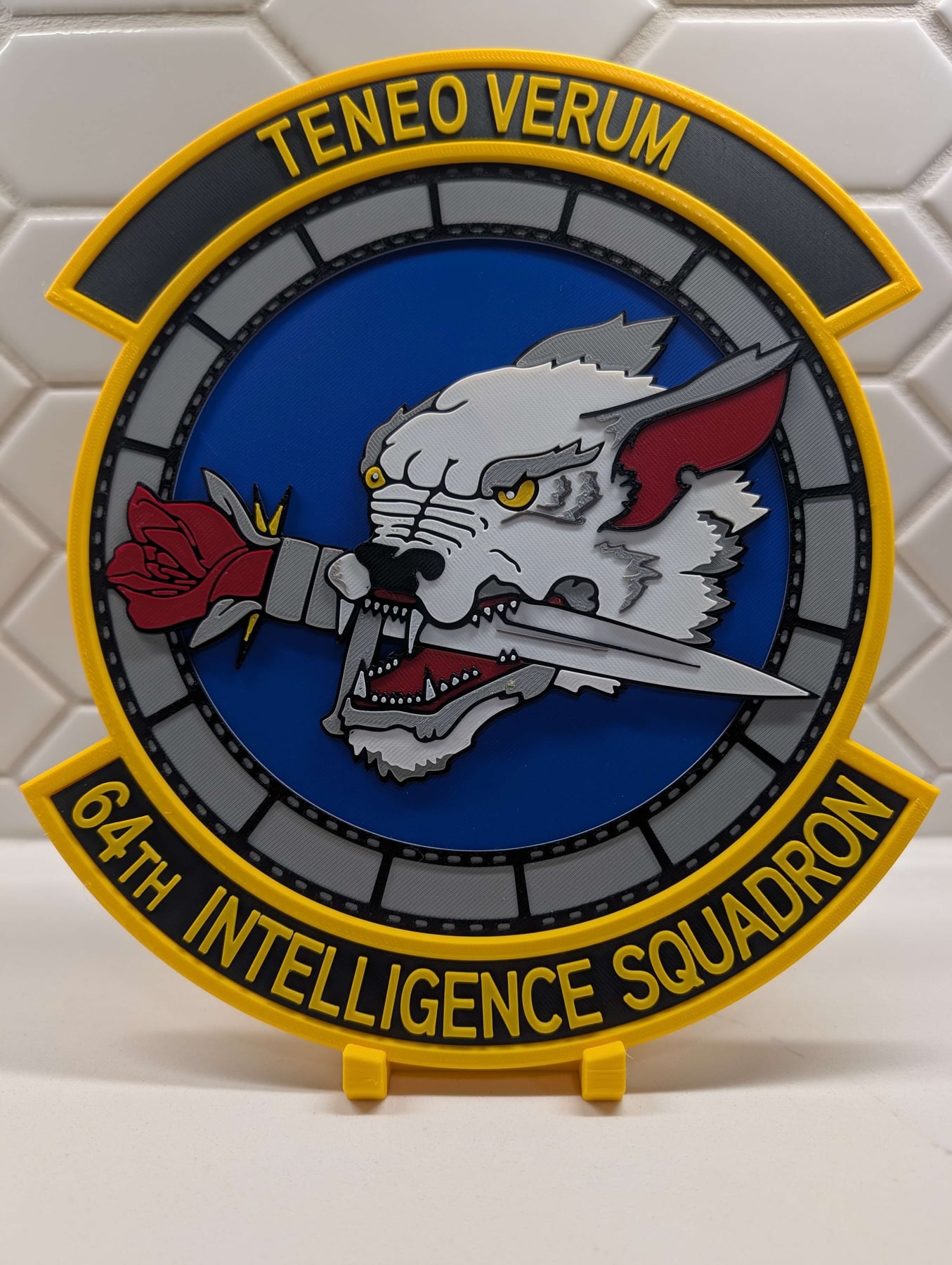 Real print photo for 64th Intelligence Squadron
