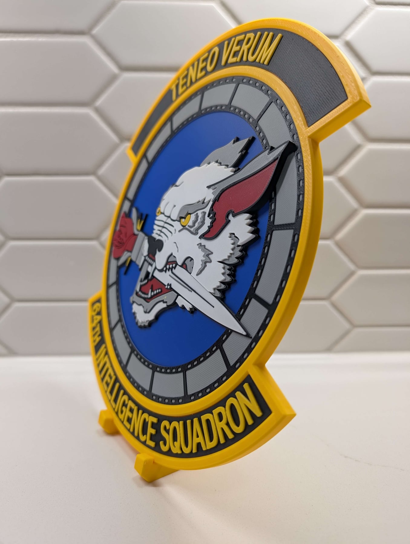 Real print photo for 64th Intelligence Squadron