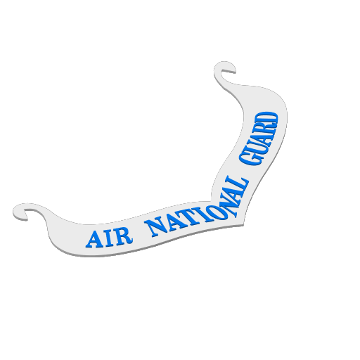 Slicer thumbnail for Air National Guard